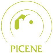Mete Picene